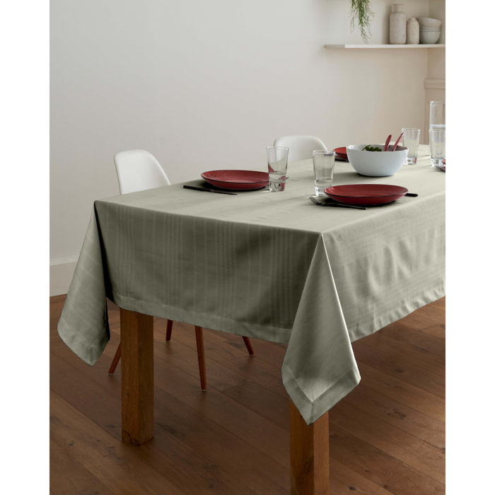 Nappe Arlequin Lichen