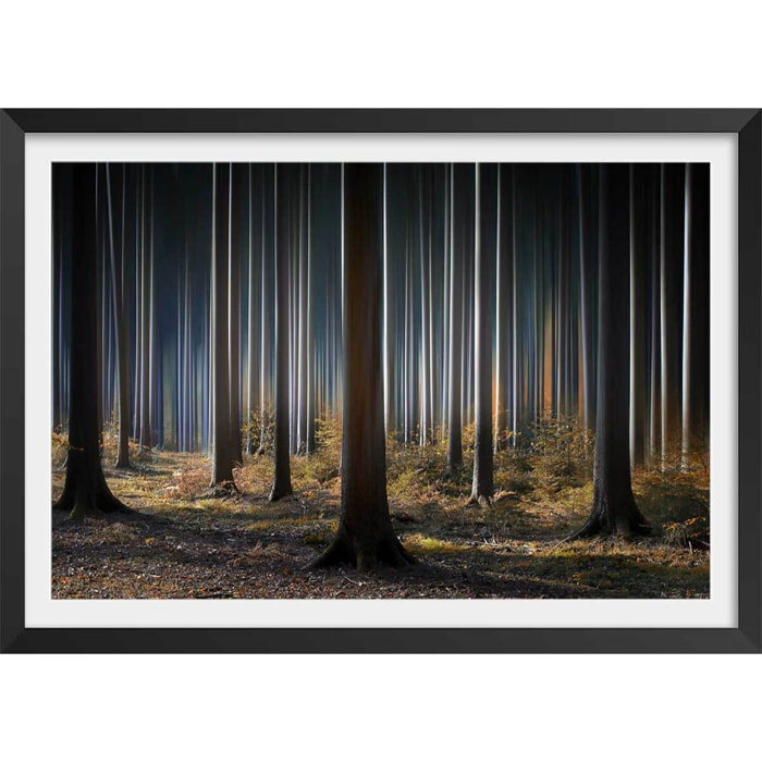Affiche paysage forêt fantastique Affiche + cadre en bois - Noir
