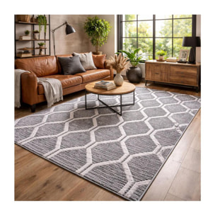 Tapis Turi en relief dessin géométrique, couleur gris et blanc