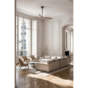 DECO FAN M Ventilateur chrome DC