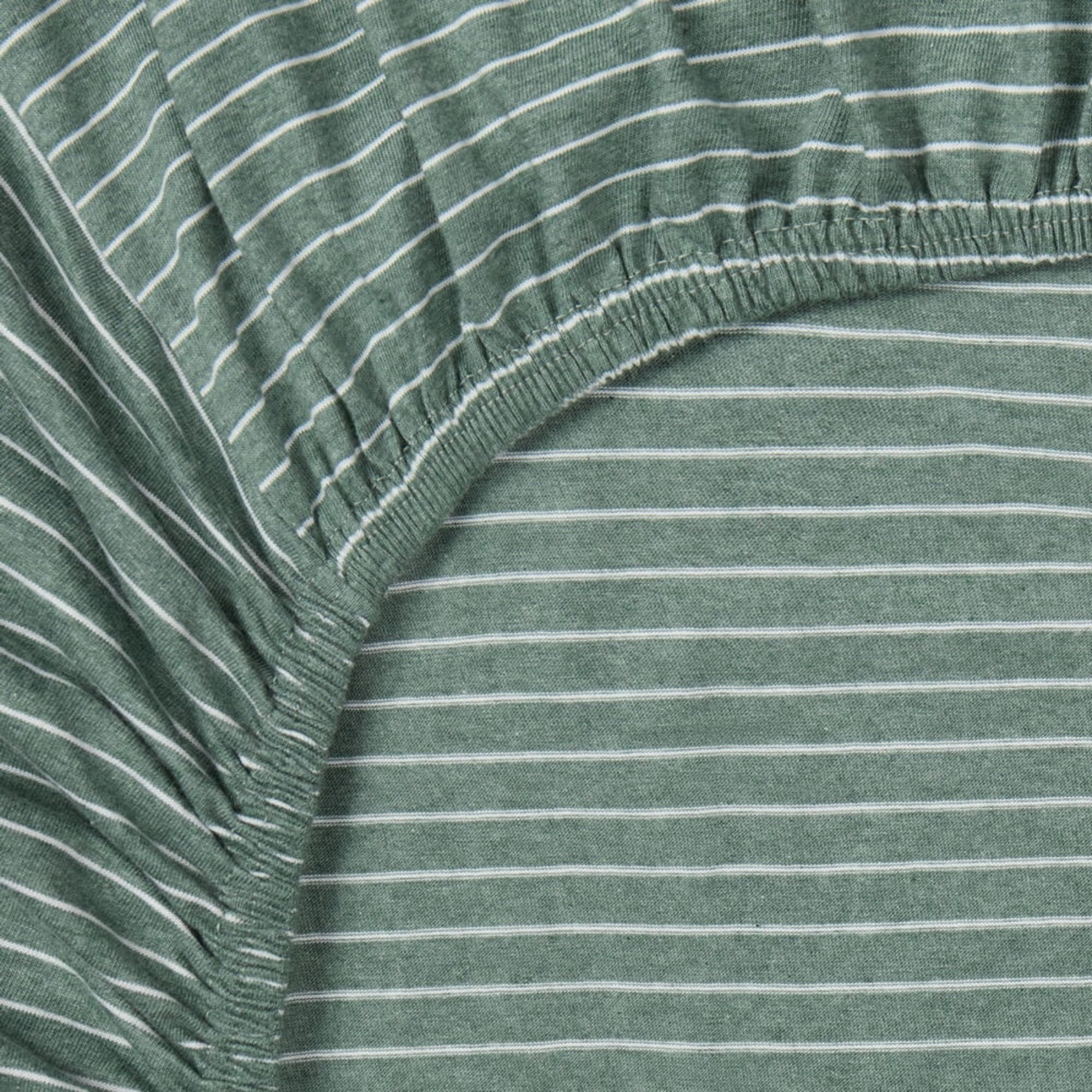 Bajera punto algodón sostenible Punto color verde Punto de algodón