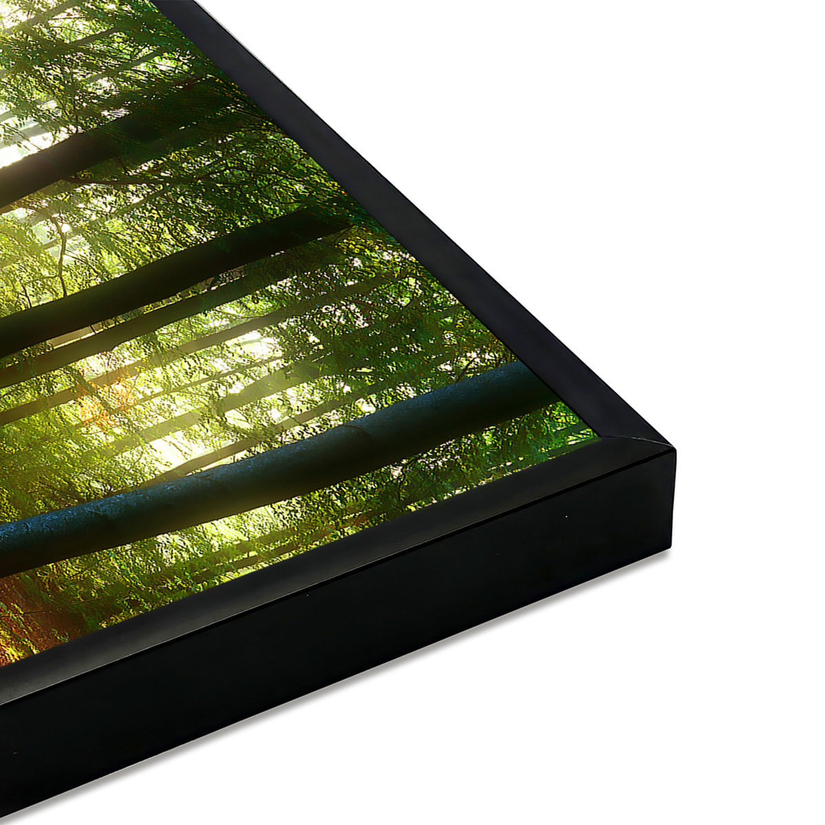 Affiche encadrée forêt lumineuse et rayons de soleil Affiche + cadre en métal - Noir