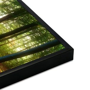 Affiche encadrée forêt lumineuse et rayons de soleil Affiche + cadre en métal - Noir