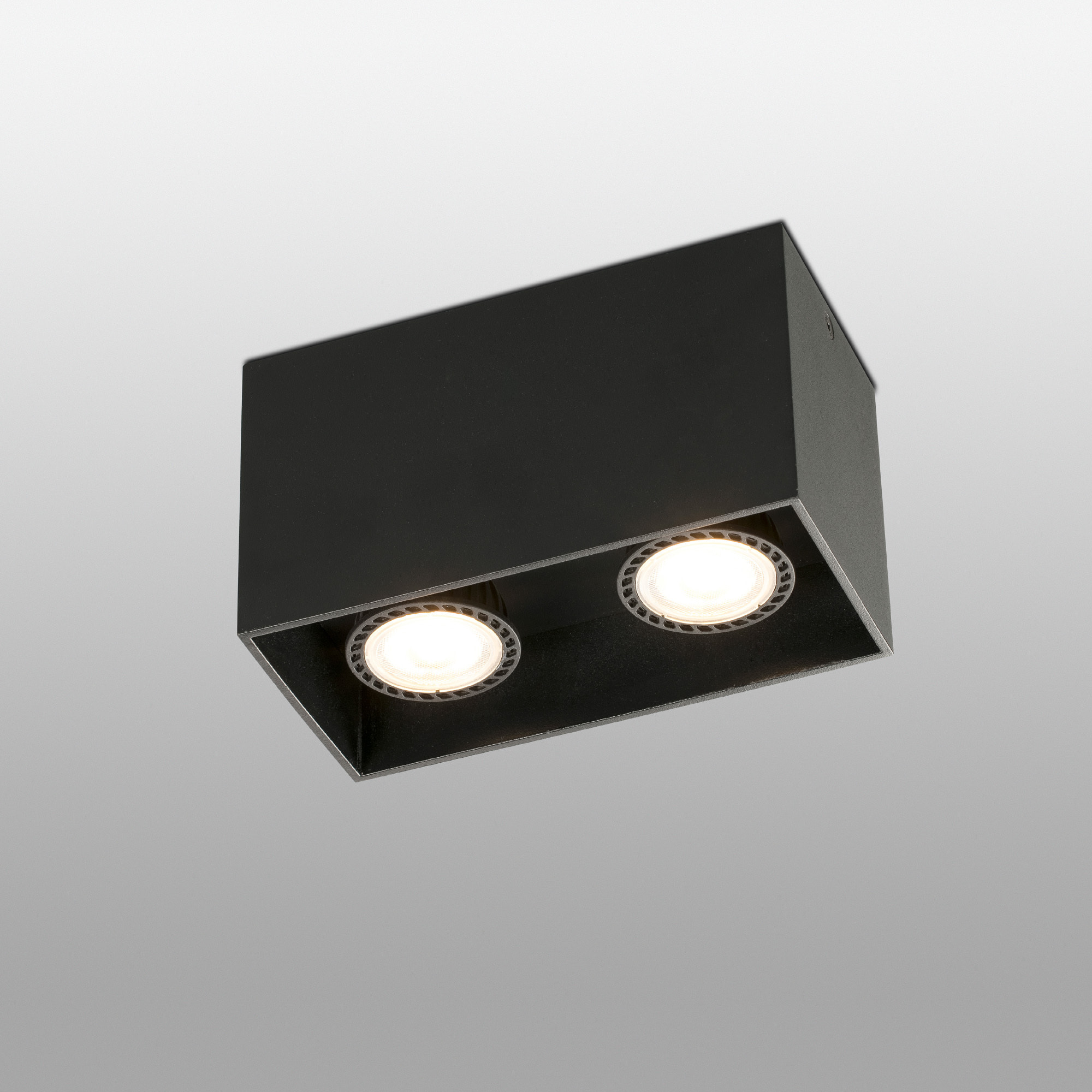 TECTO 2L GU10 Plafón negra