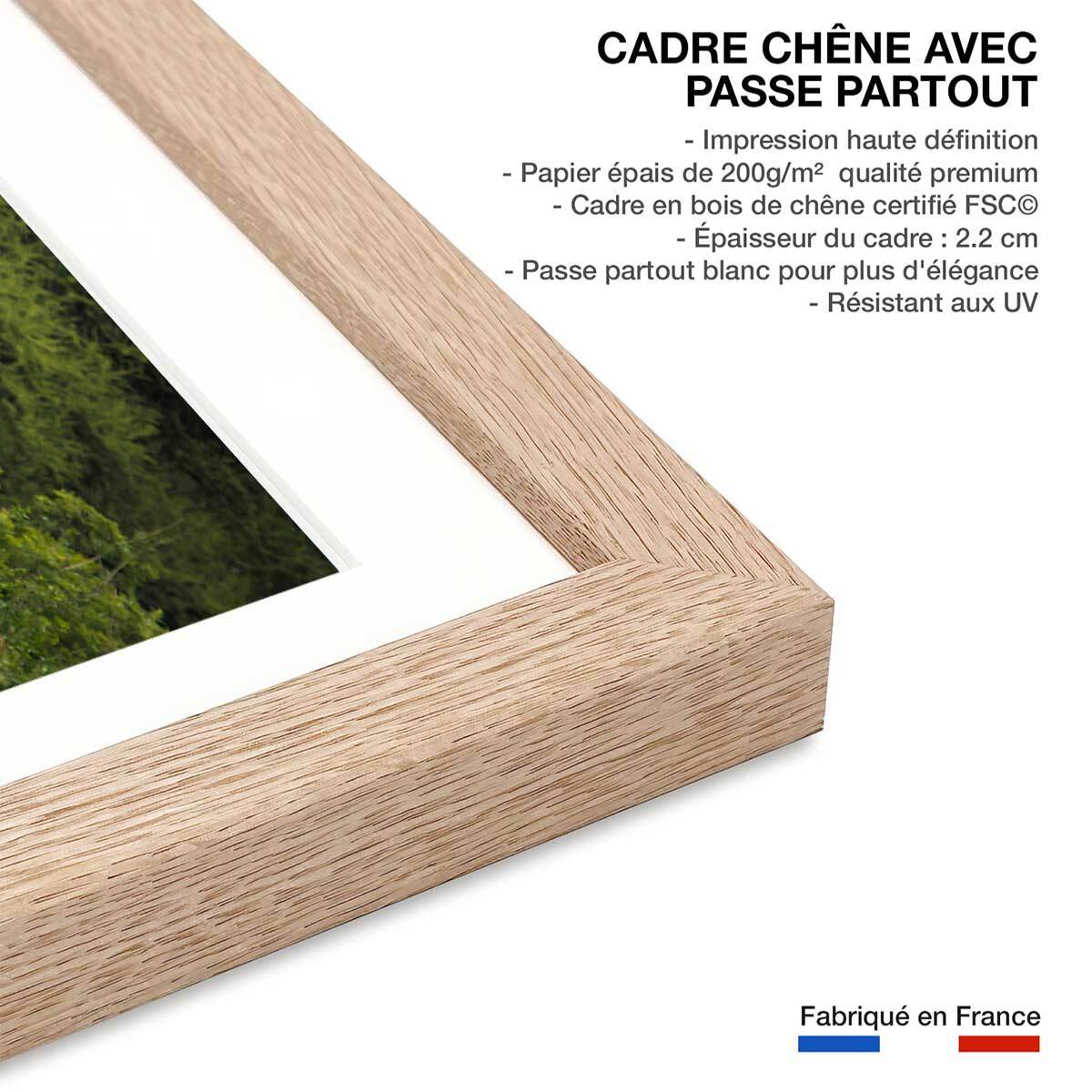 Affiche Girafe inattendue Affiche + cadre en bois - Chêne