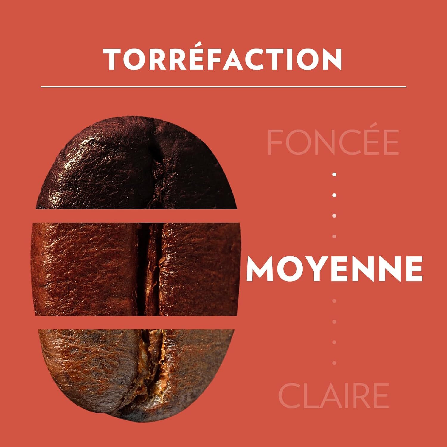 Café Moulu Tales of Italy Roma 2x250g