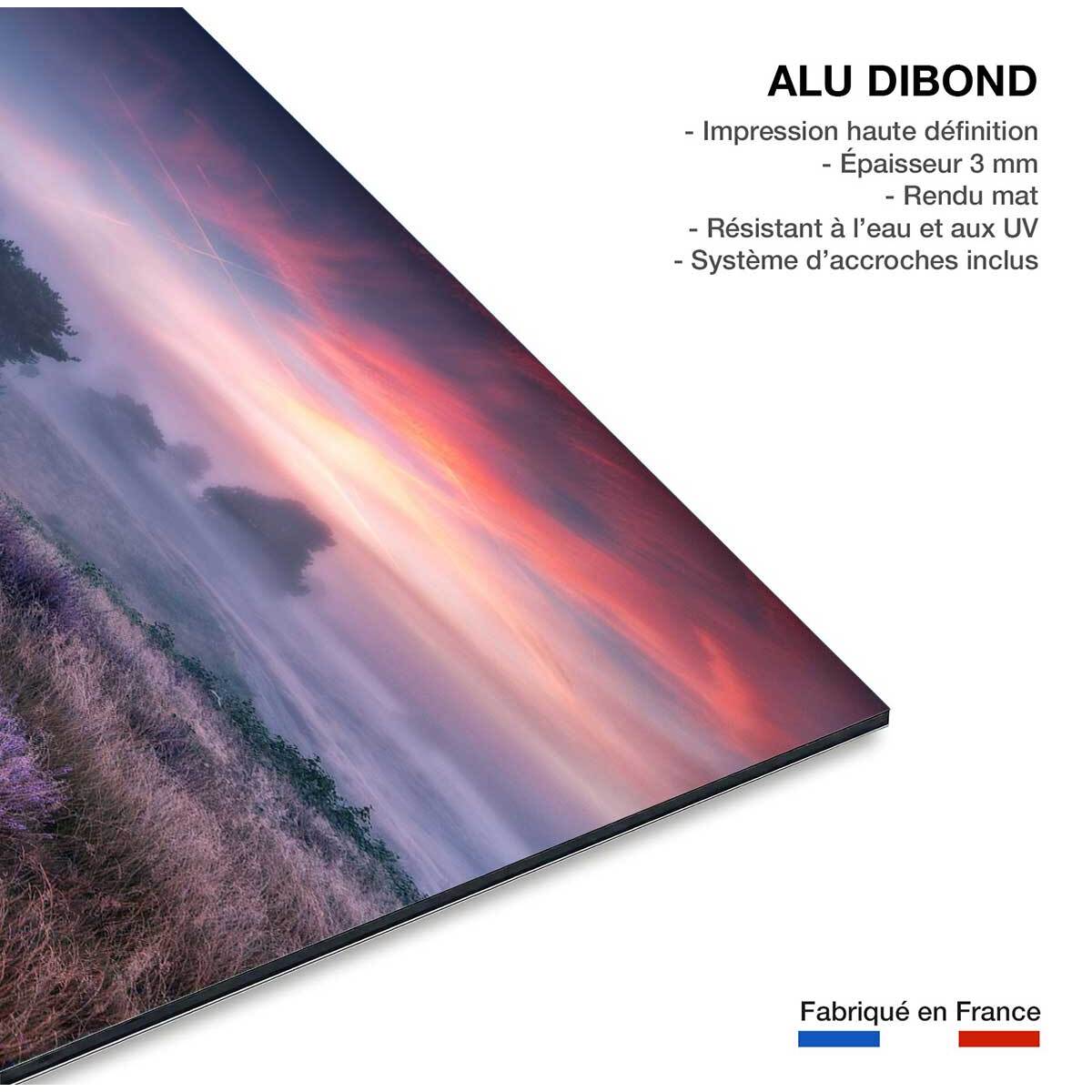 Tableau couleur chaude Tableau alu Dibond