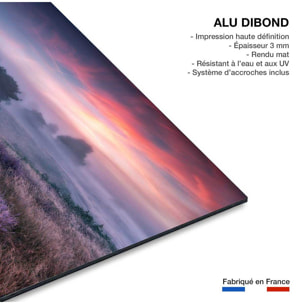 Tableau couleur chaude Tableau alu Dibond
