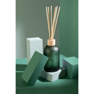 J-Line Bâtonnets parfumés Accords Essentiels - Bois Givré - vert - 550 ml