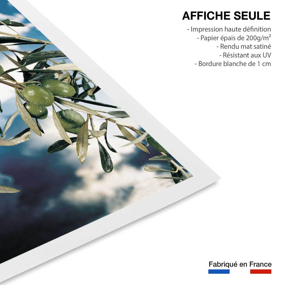 Poster kalamata, olivier grec Affiche seule