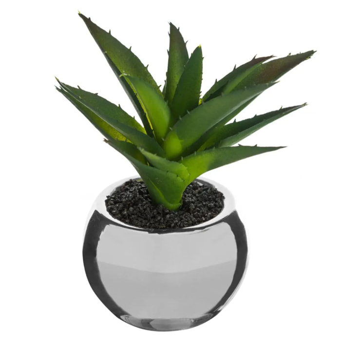 Plante verte pot céramique H.15