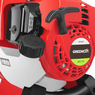 Soplador-aspirador de hojas motor de gasolina 26cc y velocidad del aire 225km/h - GREENCUT EBV260X