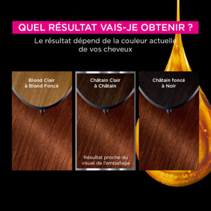 Garnier Olia Coloration 5.35 Brownie