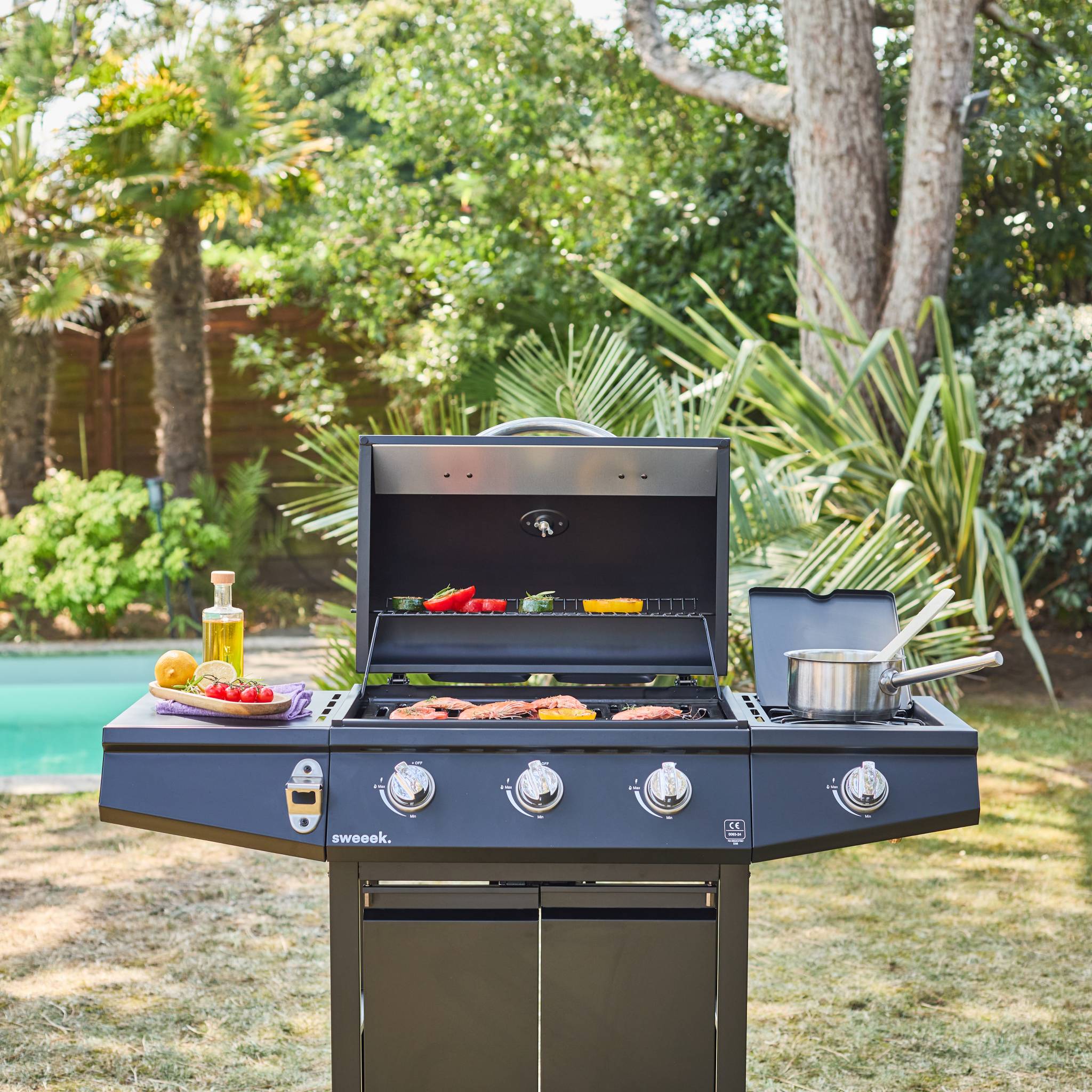 Barbecue gaz 3 brûleurs + 1 feu latéral avec roues, tablettes et thermomètre TREVILLE 3