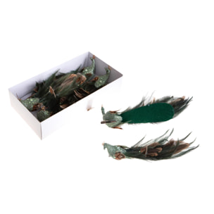 Pavoni - Pezzi 2 - 12xH23x4cm - Bianchi Dino SpA