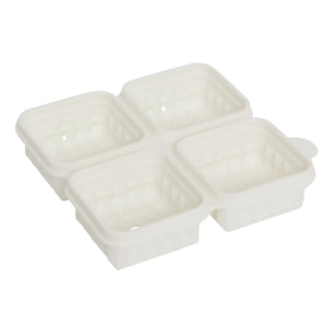 Bac à glaçons cube