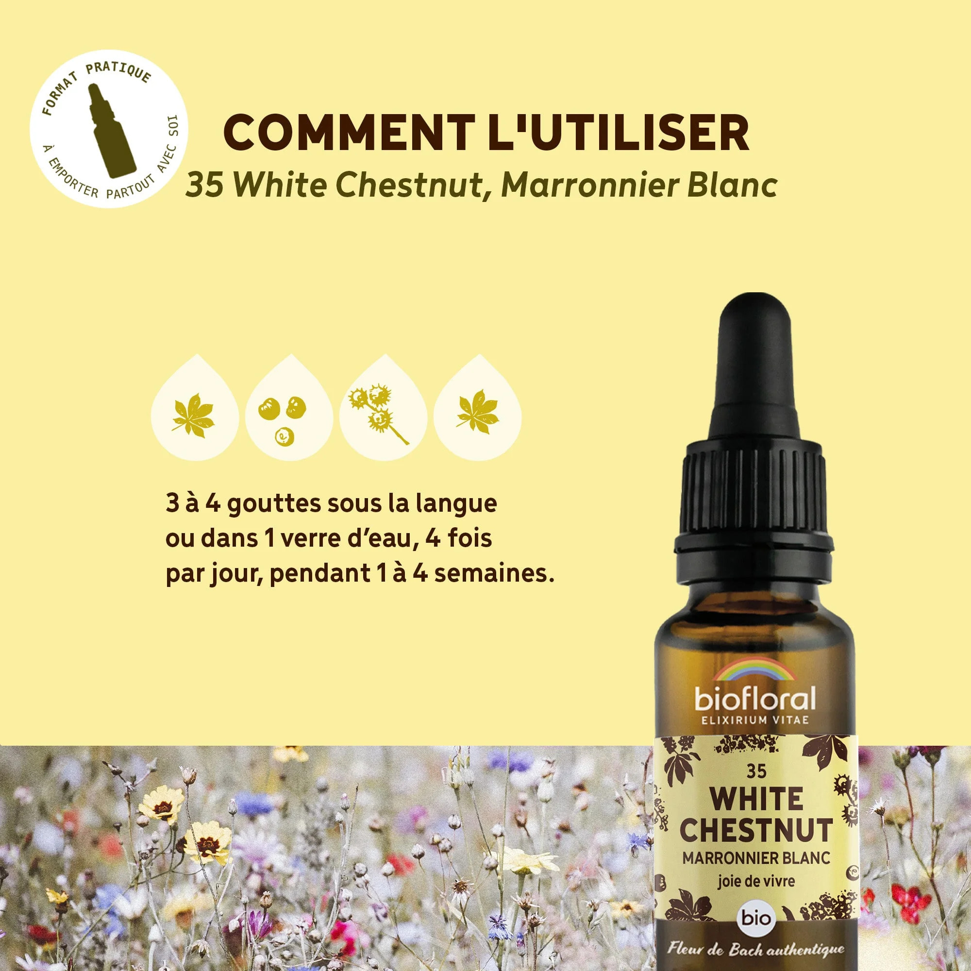 Biofloral - Fleur de Bach n°35 White Chestnut, Marronnier Blanc - Bio Demeter - 20 ml