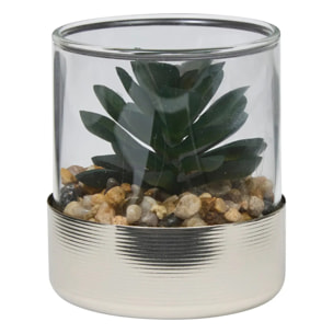 Terrarium Sky 8,5x8cm
