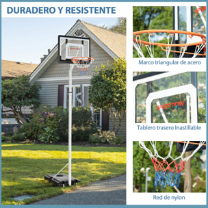 Canasta de Baloncesto con Ruedas Altura Ajustable 260-305 cm 90x83x310-360 cm