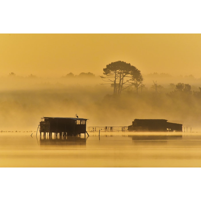 Tableau tonne landaise au petit matin Tableau alu Dibond