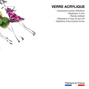 Tableau cuisine humour robes en fruit  Tableau plexiglas