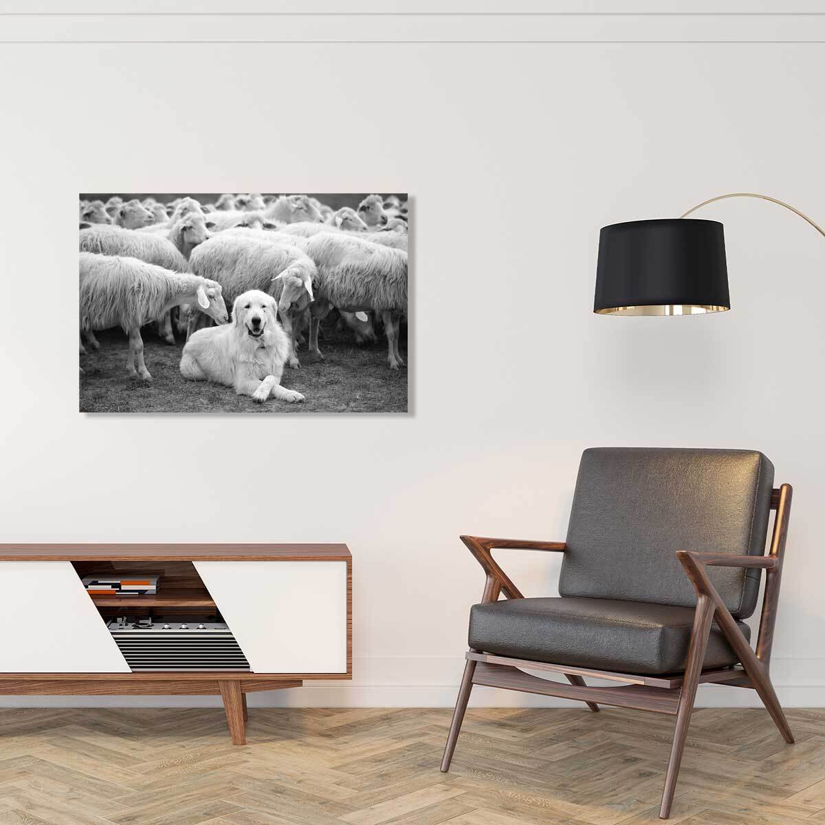 Tableau paysage chien de berger  Tableau alu Dibond