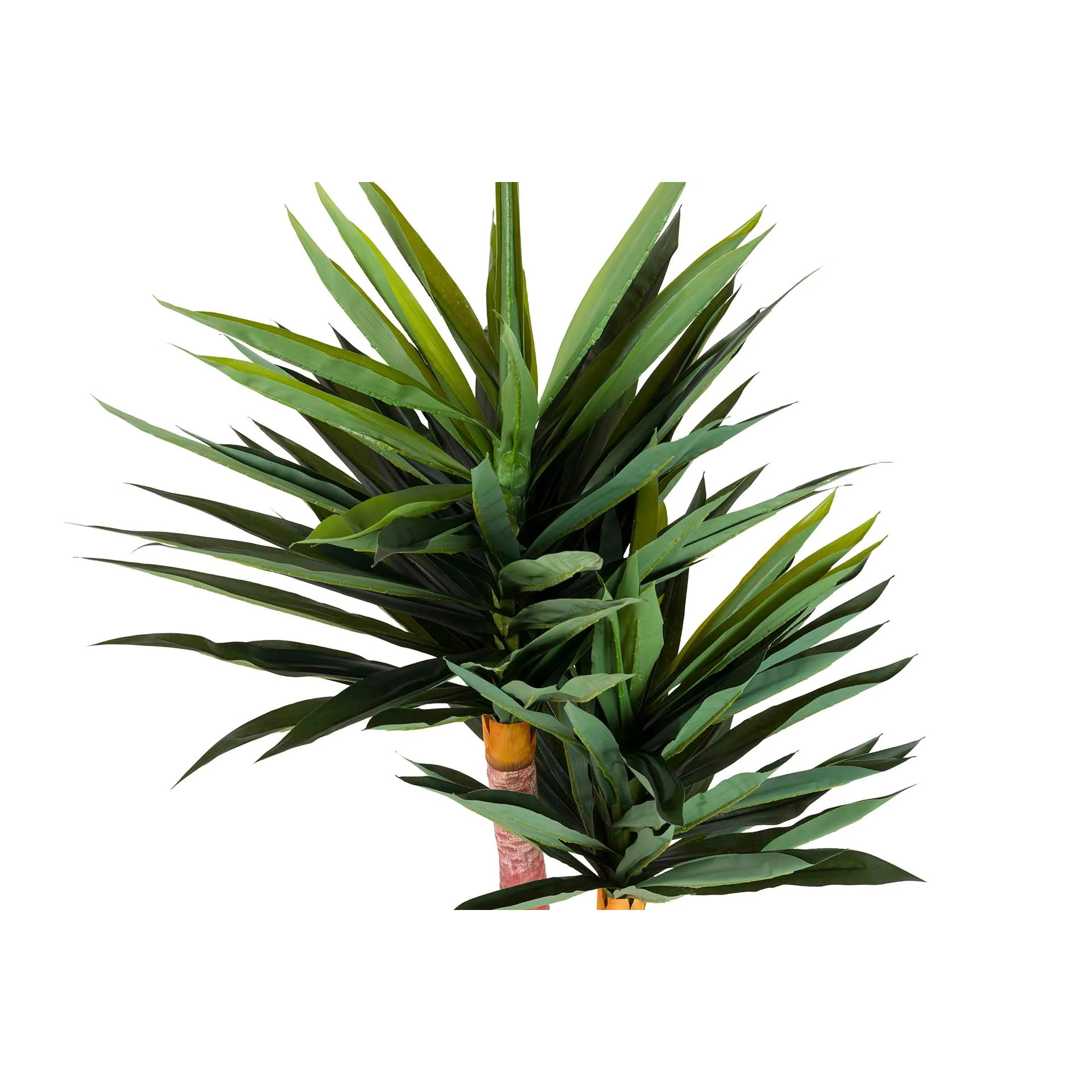 Planta Yucca Gloriosa Con Maceta 55x55x145 Cm