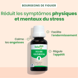 Herbalgem- Bourgeon de figuier - Bio - 30 ml