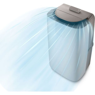 Climatiseur DELONGHI PAC AP98