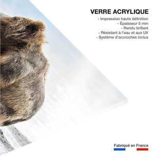 Tableau animaux profile Family Tableau plexiglas