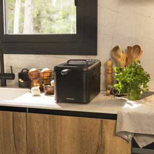 Cecotec Friteuse avec huile CleanFry Luxury 4000 Black