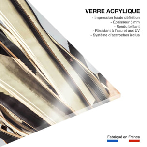 Tableau cactus mexicain Tableau plexiglas