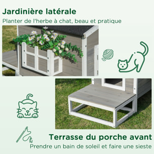 Maison lodge sur pied - niche villa chat petit chien - terrasse, toit bitumé, jardinière, 2 portes - bois sapin pré-huilé peint