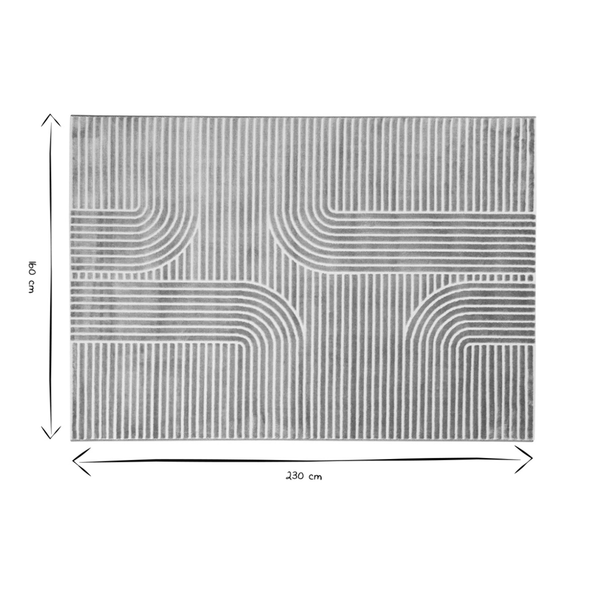 Tapis graphique rectangulaire taupe 160 x 230 cm MAGNUS