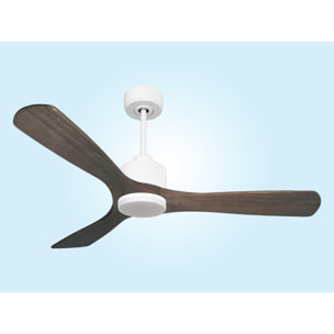 Ventilateur de plafond Réversible  Thermostat Dimmable Wifi Moteur à courant continu Toits en pente Télécommande Lumière à trois tons Hypersilence Mémoire