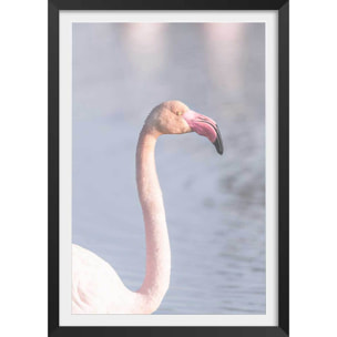 Affiche pastel pink flamingo Affiche + cadre en bois - Noir