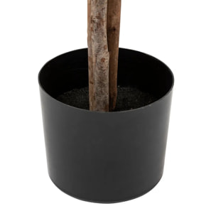 Olivier artificiel "Martin" pot en céramique H210cm