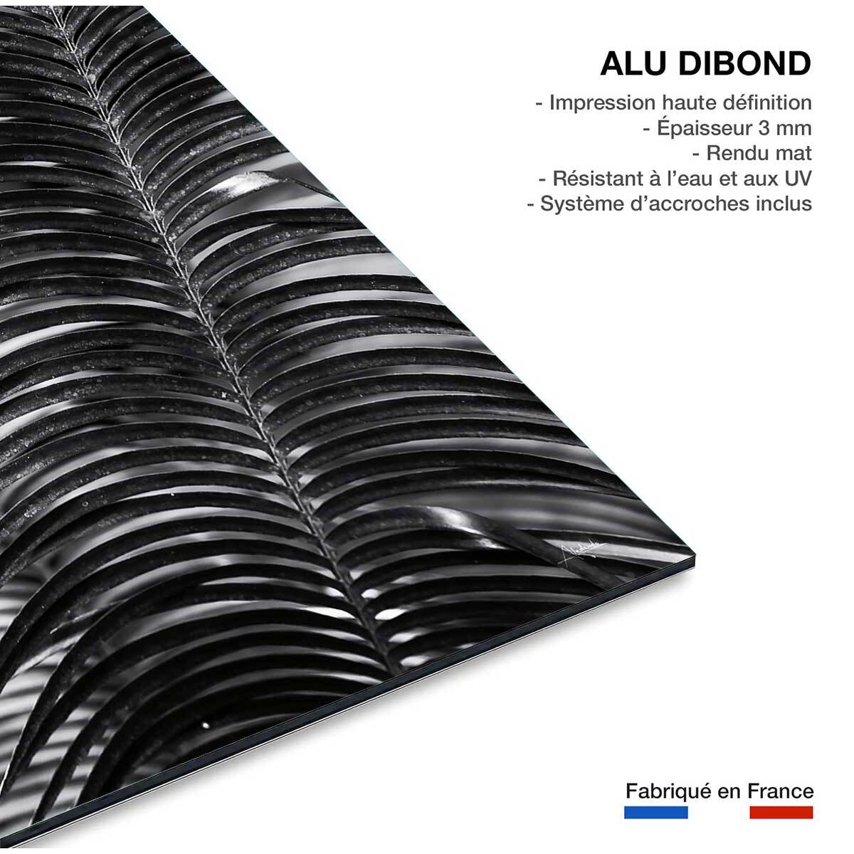 Tableau fleurs Sun palm Tableau alu Dibond