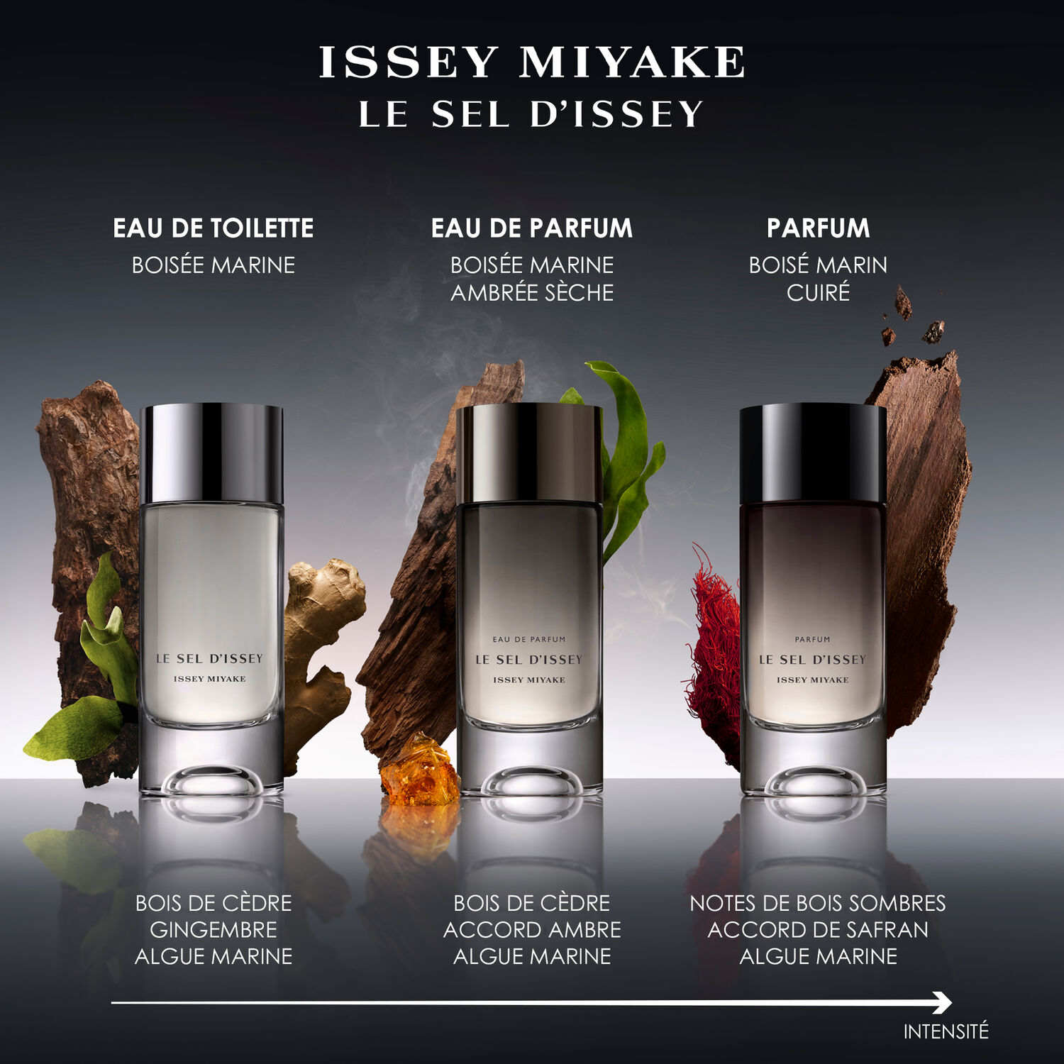Le Sel d'Issey - Coffret Eau de Toilette 50ml + Gel Douche 50ml