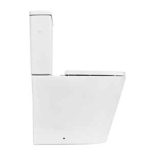 Brevis cuvette WC PMR à poser SEULE sans bride en céramique (réservoir non fourni), blanc (SATBRE32M)