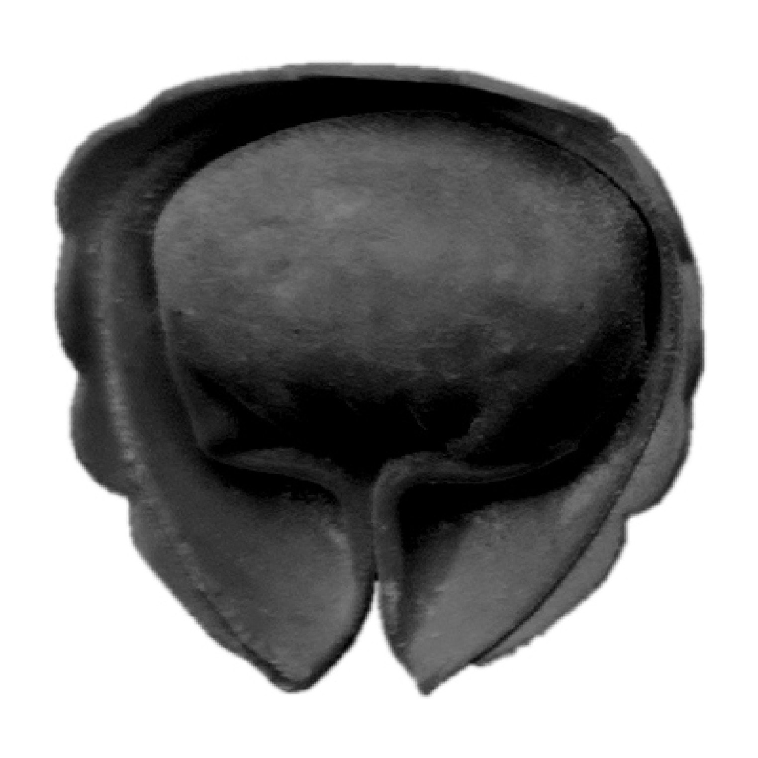 Tortelloni Noir au crabe - 2Kg