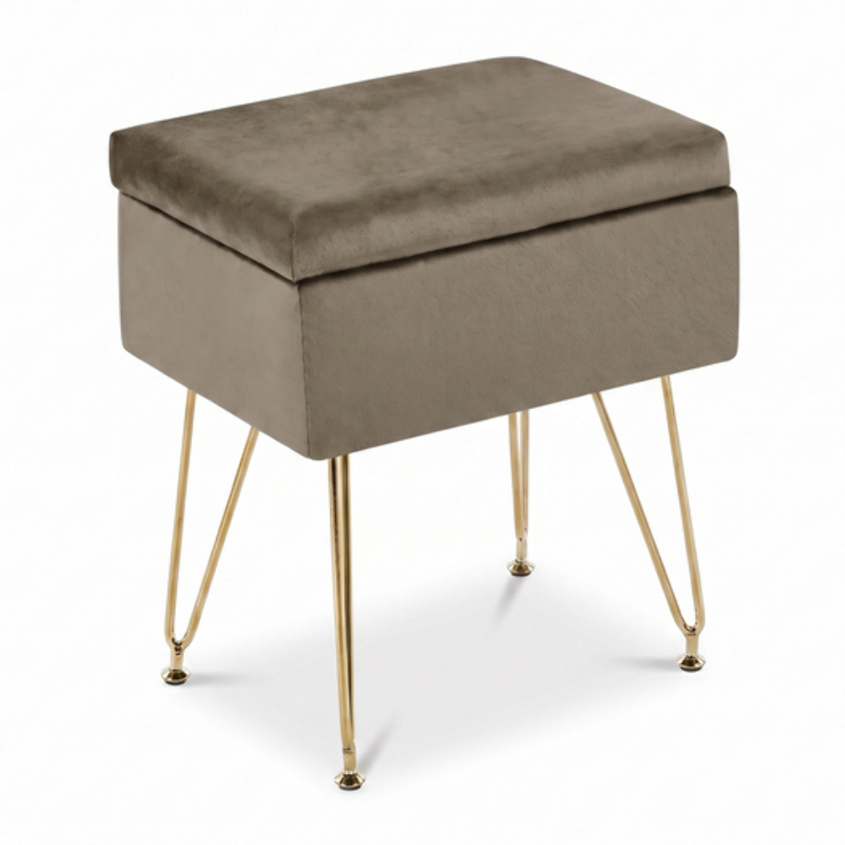 Panca Contenitore in Effetto Velluto con Seduta Imbottita e Vano Portaoggetti, Design Moderno con Gambe in Acciaio per Ingresso, Camera da Letto e Soggiorno