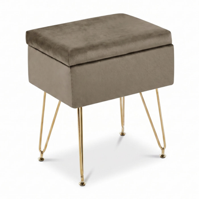 Panca Contenitore in Effetto Velluto con Seduta Imbottita e Vano Portaoggetti, Design Moderno con Gambe in Acciaio per Ingresso, Camera da Letto e Soggiorno