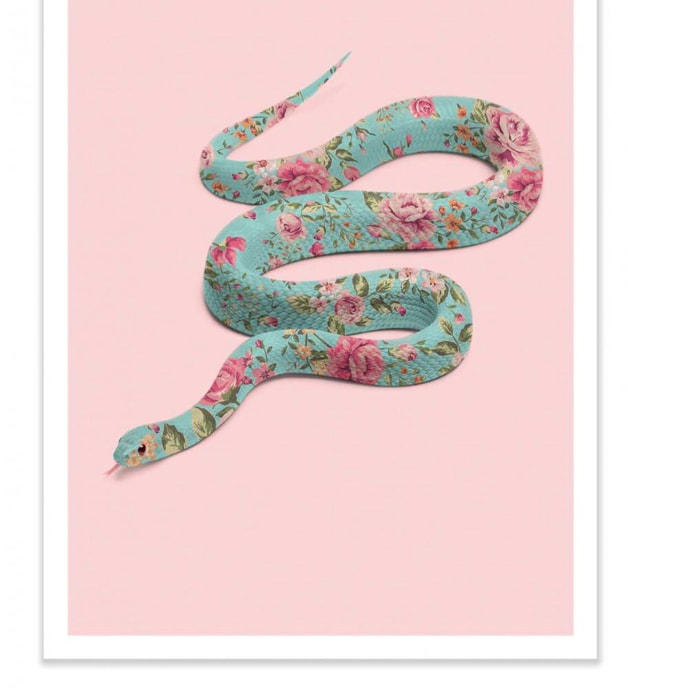 Art-Poster - Floral Snake - Paul Fuentes - 50 x 70 cm