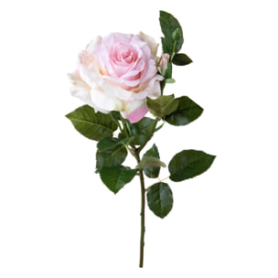 Rosa con boccio - Pezzi 2 - Colore:Rosa - Bianchi Dino