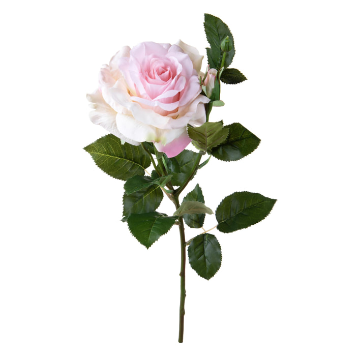 Rosa con boccio - Pezzi 2 - Colore:Rosa - Bianchi Dino