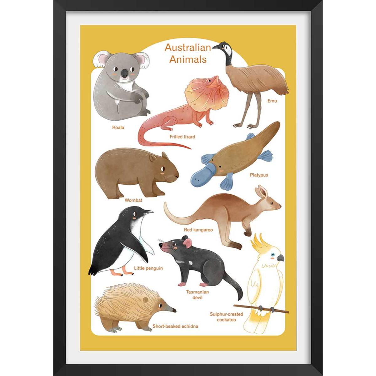 Affiche enfant animaux d' australie  Affiche sous cadre noir