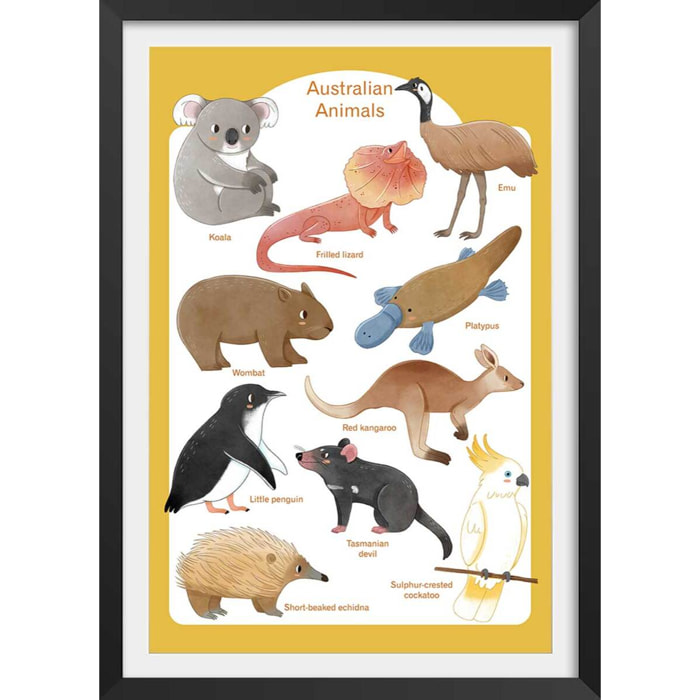 Affiche enfant animaux d' australie  Affiche sous cadre noir