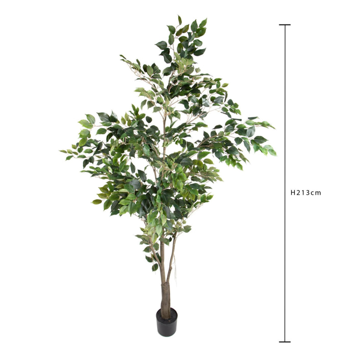 Ficus con Vaso H.213 Cm - Pezzi 1 - 213X66X66cm - Colore: Verde - Bianchi Dino - Piante Artificiali