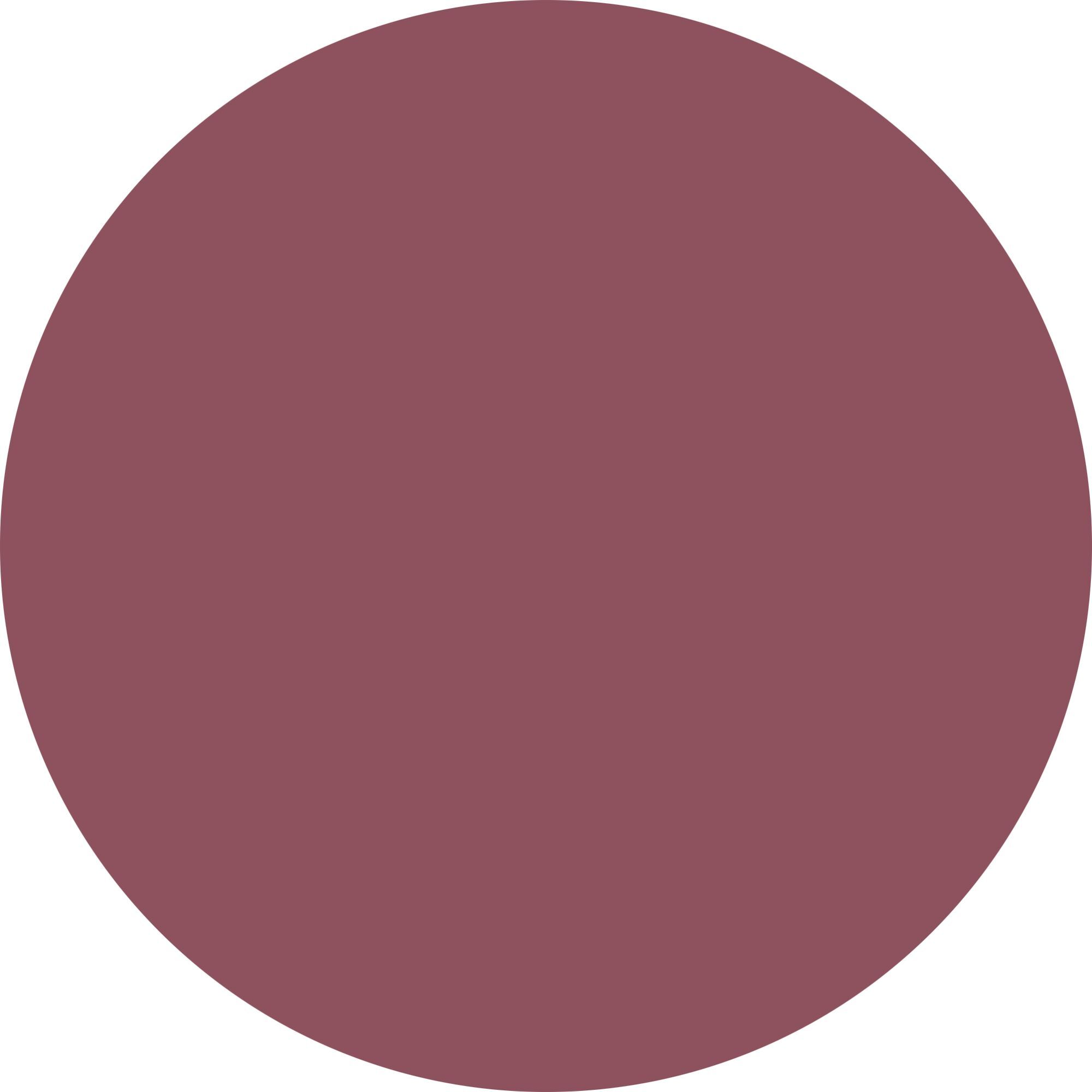 LIP GLAZE - GLASSY STICK Rossetto cremoso dal finish glossy.